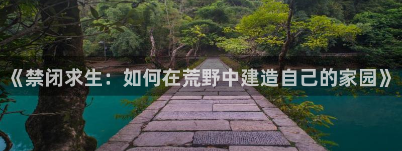 NG体育币