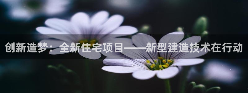 NG体育系统